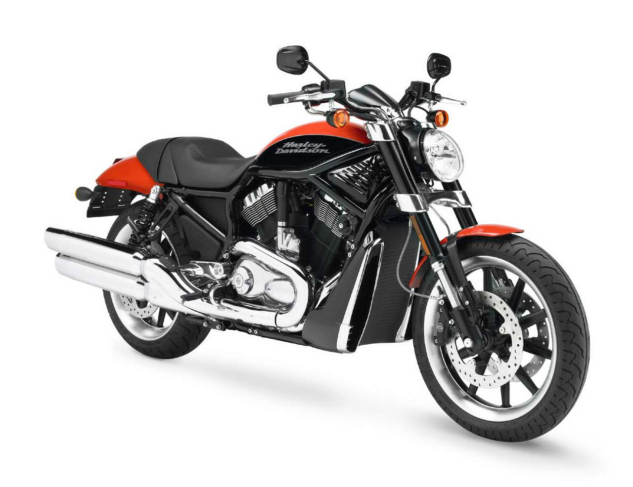 harley street rod 2019